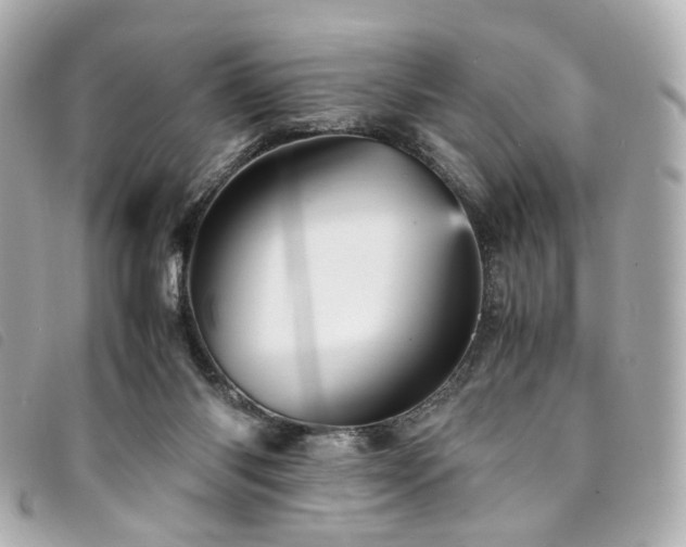 X0000094220118200710261237