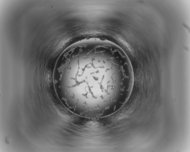 X0000094220119200710261237