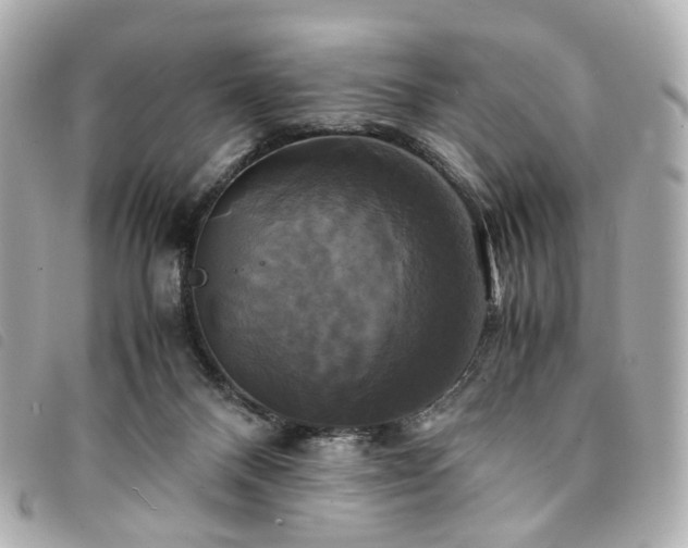 X0000094220120200710261237