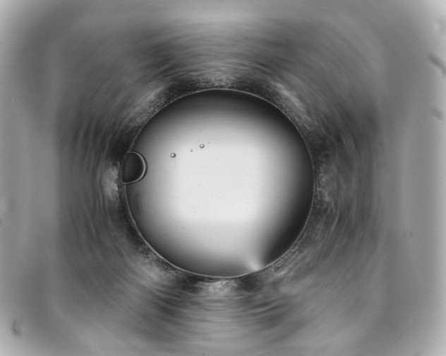 X0000094220122200710261237