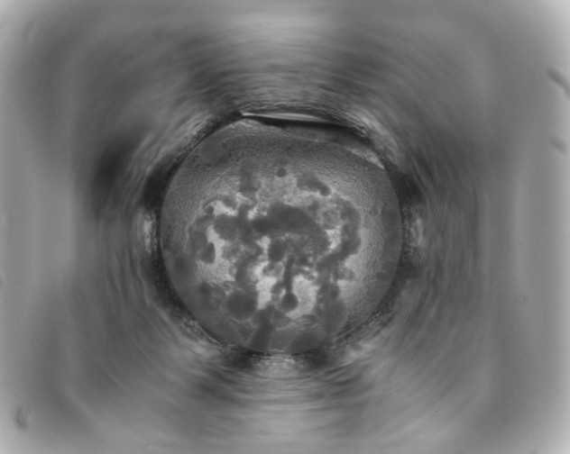 X0000094220123200710261237