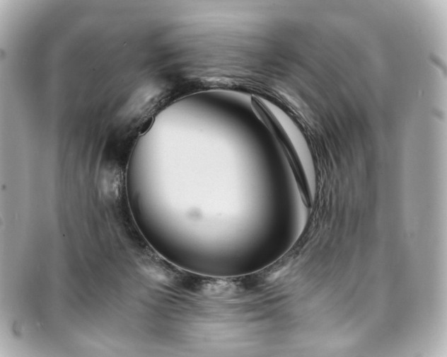 X0000094220125200710261237