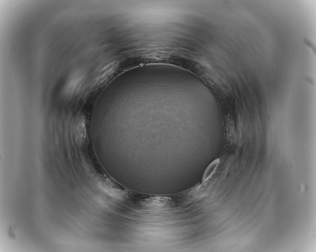 X0000094220128200710261237