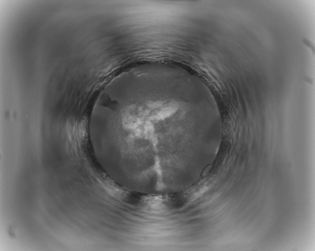 X0000094220131200710261237