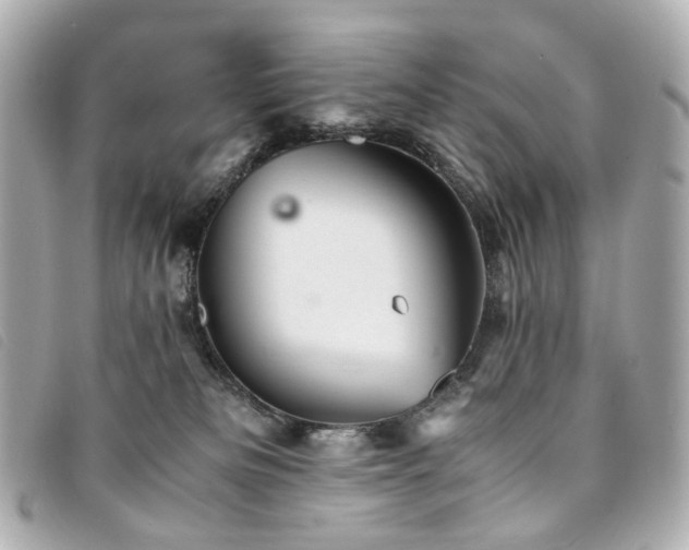 X0000094220133200710261237