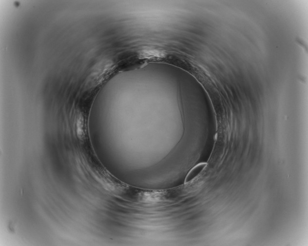 X0000094220134200710261237