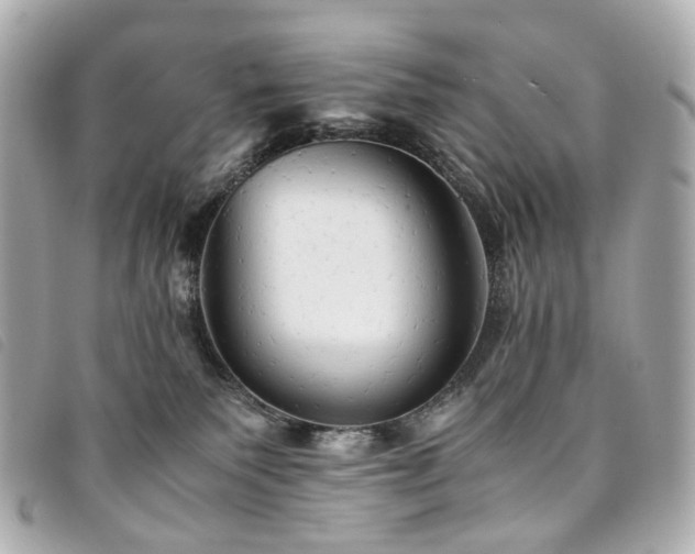 X0000094220135200710261237