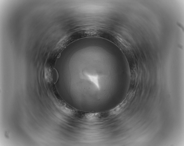 X0000094220136200710261237