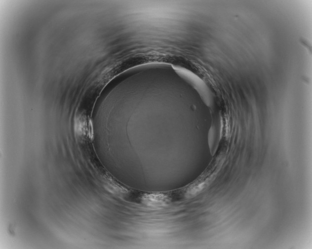 X0000094220137200710261237