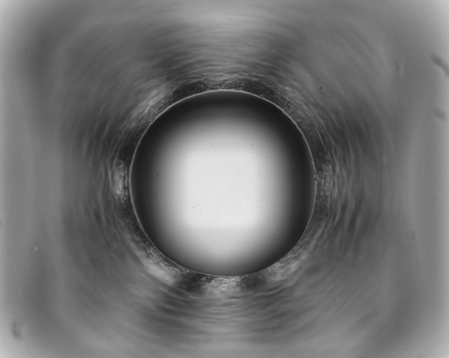 X0000094220138200710261237