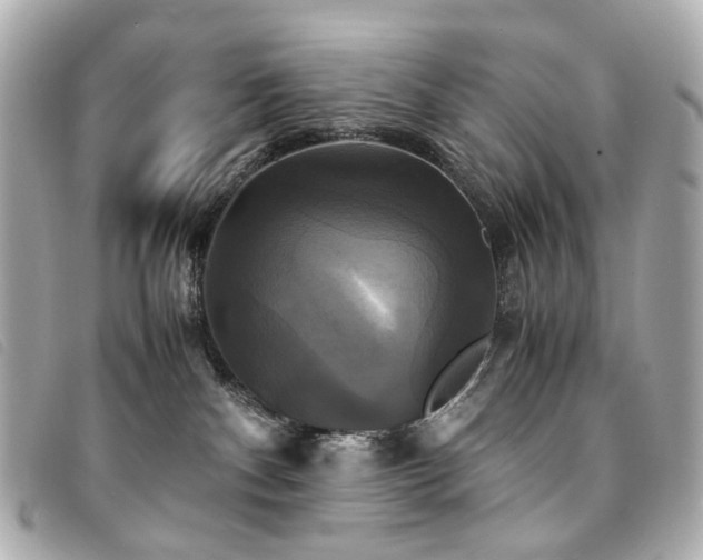 X0000094220140200710261237