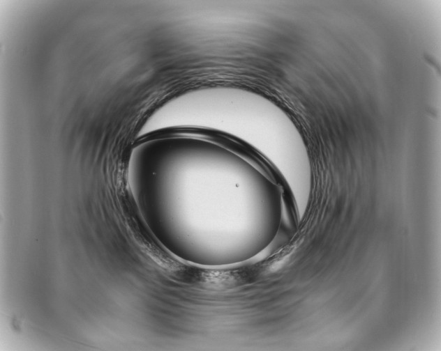 X0000094220141200710261237