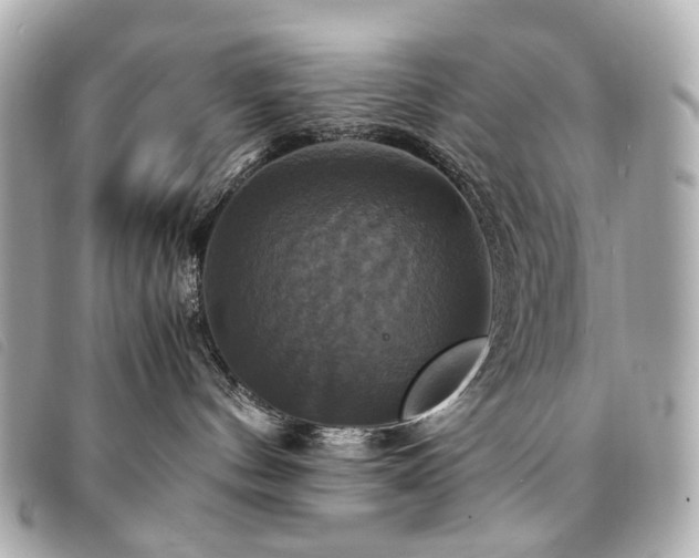 X0000094220144200710261237