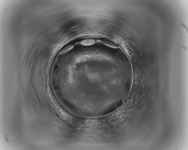 X0000094220145200710261236