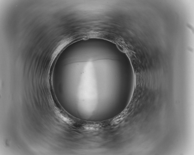 X0000094220147200710261236