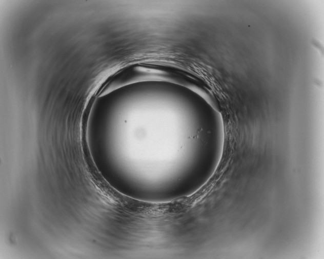 X0000094220148200710261236