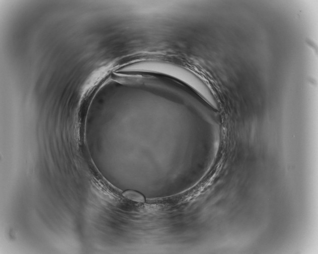 X0000094220149200710261236