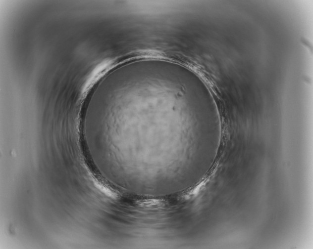 X0000094220151200710261236