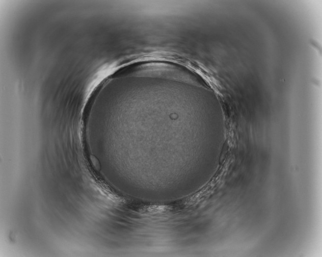 X0000094220152200710261236