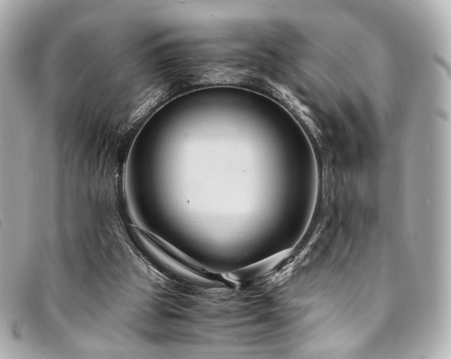 X0000094220153200710261236