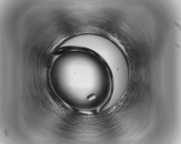 X0000094220154200710261236