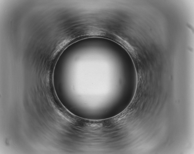 X0000094220155200710261236