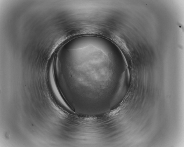 X0000094220156200710261236