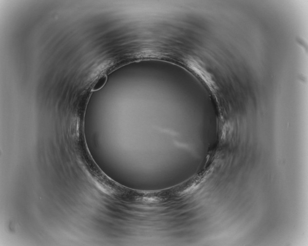 X0000094220157200710261236