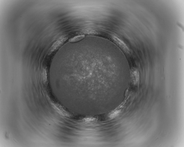 X0000094220158200710261236