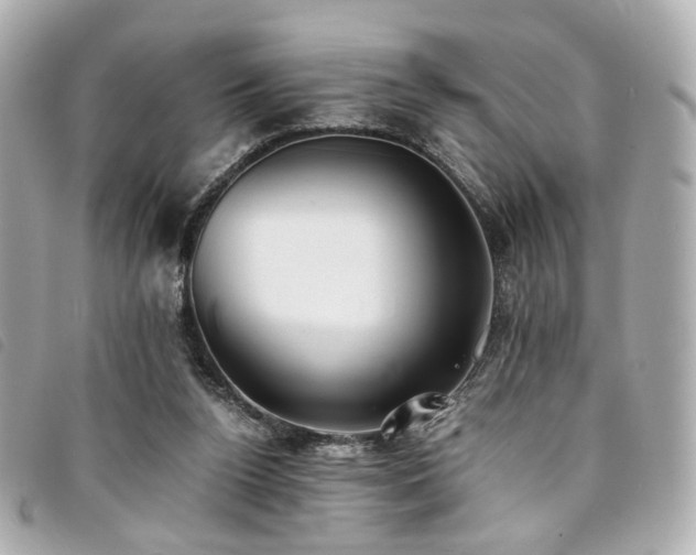 X0000094220160200710261236