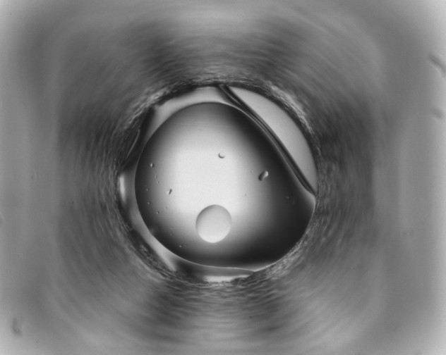 X0000094220162200710261237