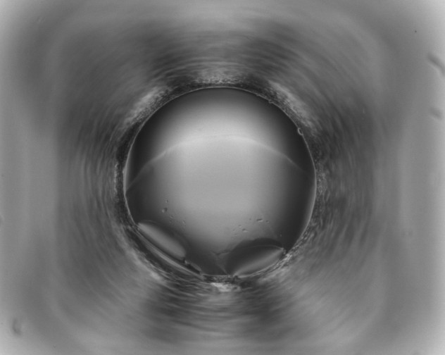 X0000094220163200710261237