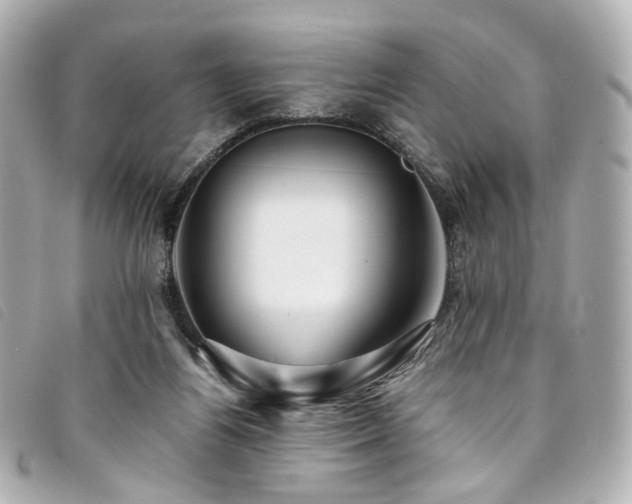 X0000094220164200710261237