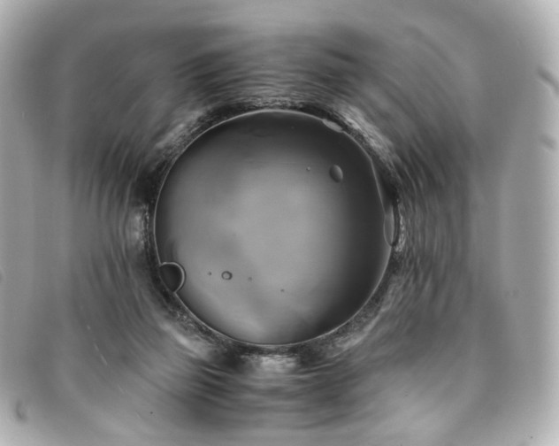 X0000094220165200710261237