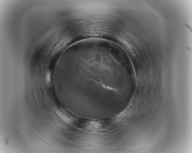 X0000094220166200710261237