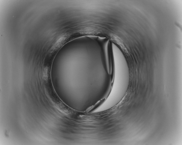 X0000094220167200710261237