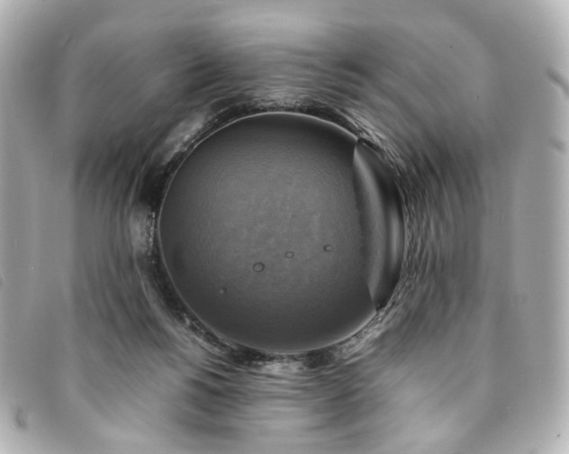 X0000094220168200710261237