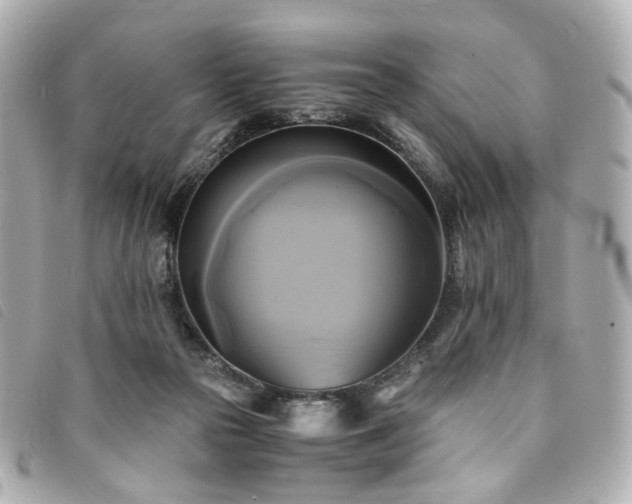 X0000094220169200710261237