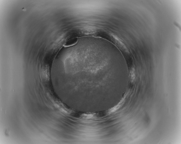 X0000094220170200710261237