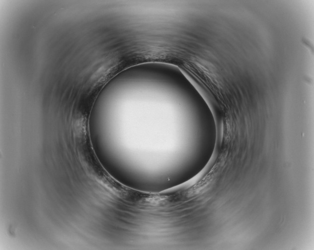 X0000094220172200710261237