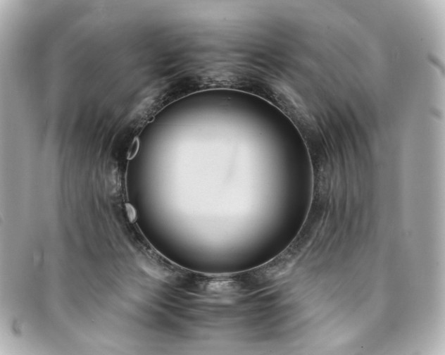 X0000094220173200710261237