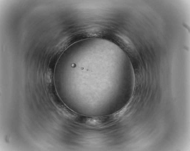 X0000094220174200710261237