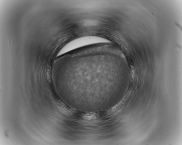 X0000094220175200710261237