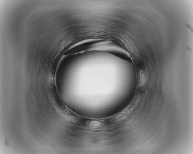 X0000094220176200710261237