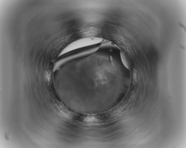 X0000094220177200710261237