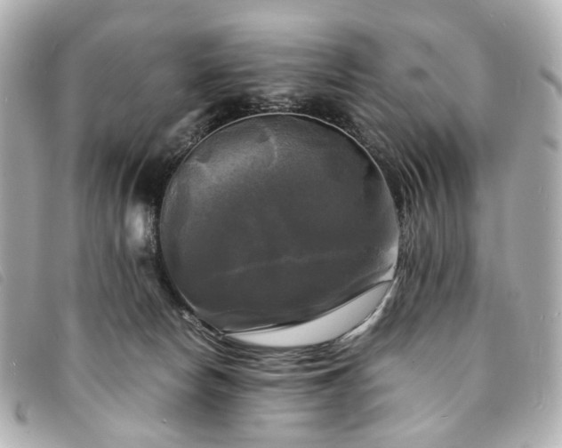 X0000094220178200710261237