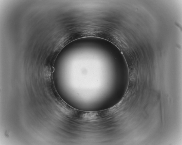 X0000094220179200710261237