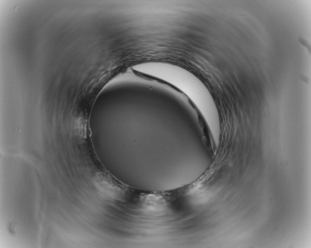 X0000094220180200710261237