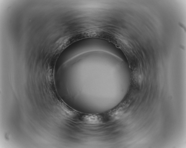 X0000094220181200710261237