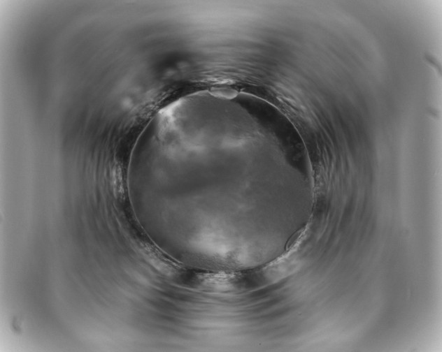 X0000094220182200710261237